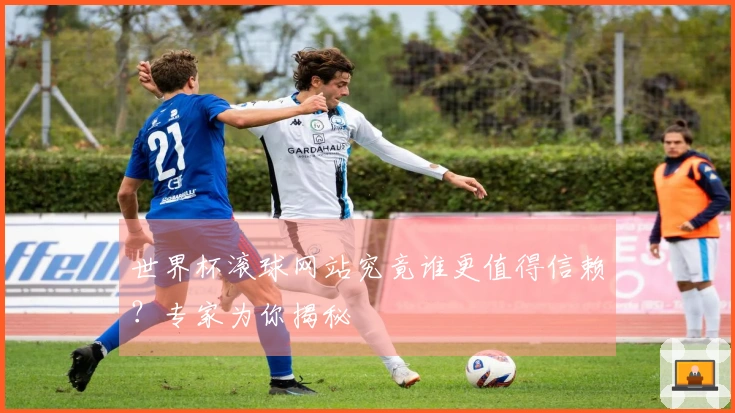 世界杯滚球网站究竟谁更值得信赖？专家为你揭秘