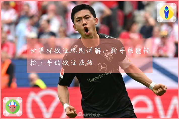 世界杯投注规则详解，新手也能轻松上手的投注技巧