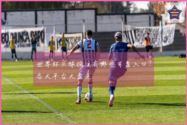 世界杯买球投注有哪些可靠入口？各大平台大盘点