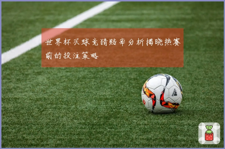 世界杯买球竞猜赔率分析揭晓热赛前的投注策略