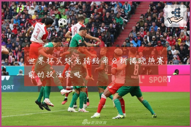 世界杯买球竞猜赔率分析揭晓热赛前的投注策略