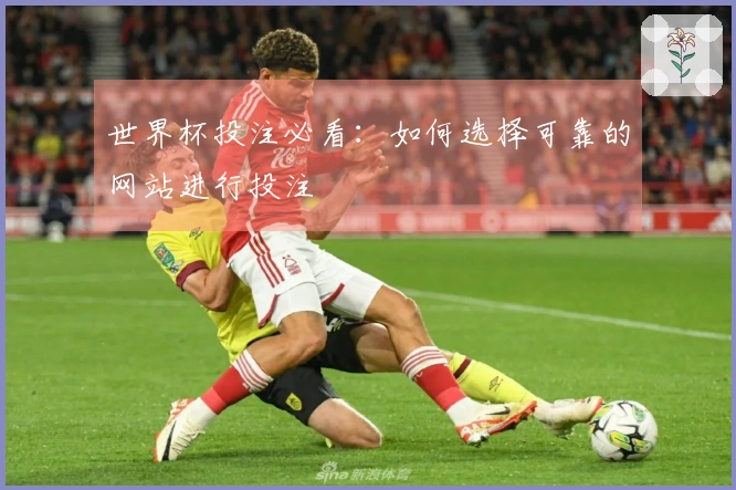 世界杯投注必看：如何选择可靠的网站进行投注