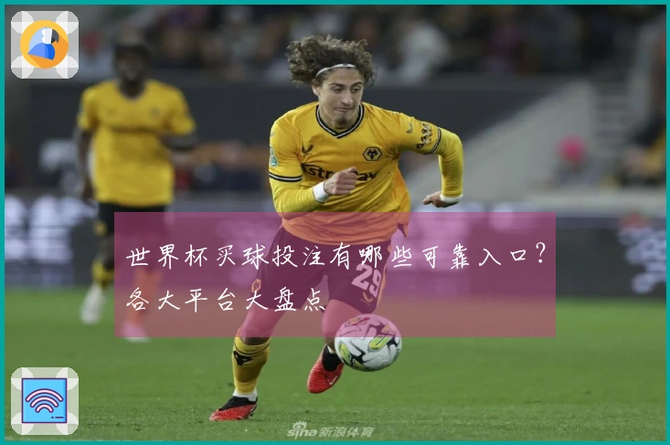 世界杯买球投注有哪些可靠入口？各大平台大盘点