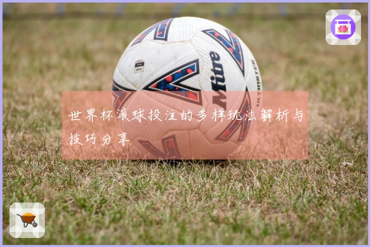 世界杯滚球投注的多样玩法解析与技巧分享