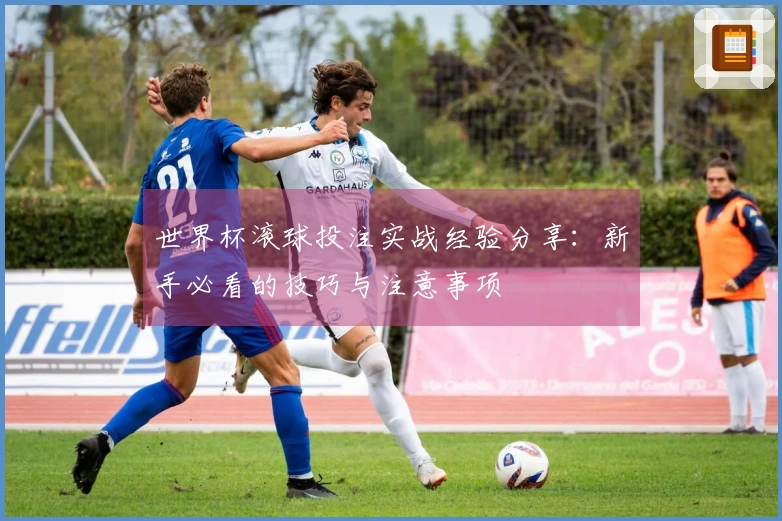 世界杯滚球投注实战经验分享：新手必看的技巧与注意事项