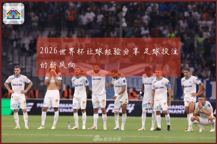 2026世界杯让球经验分享 足球投注的新风向