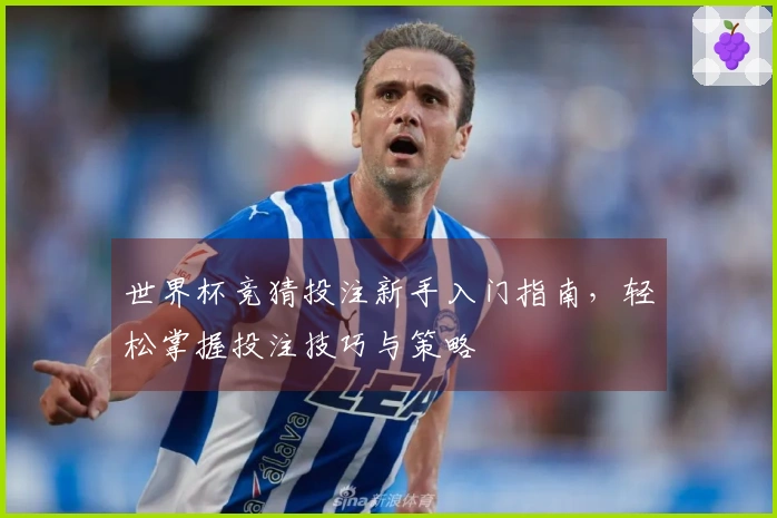 世界杯竞猜投注新手入门指南，轻松掌握投注技巧与策略