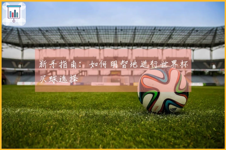 新手指南：如何明智地进行世界杯买球选择