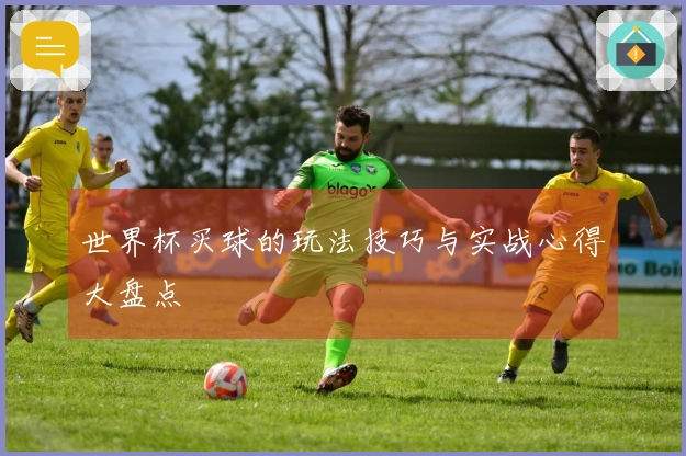 世界杯买球的玩法技巧与实战心得大盘点