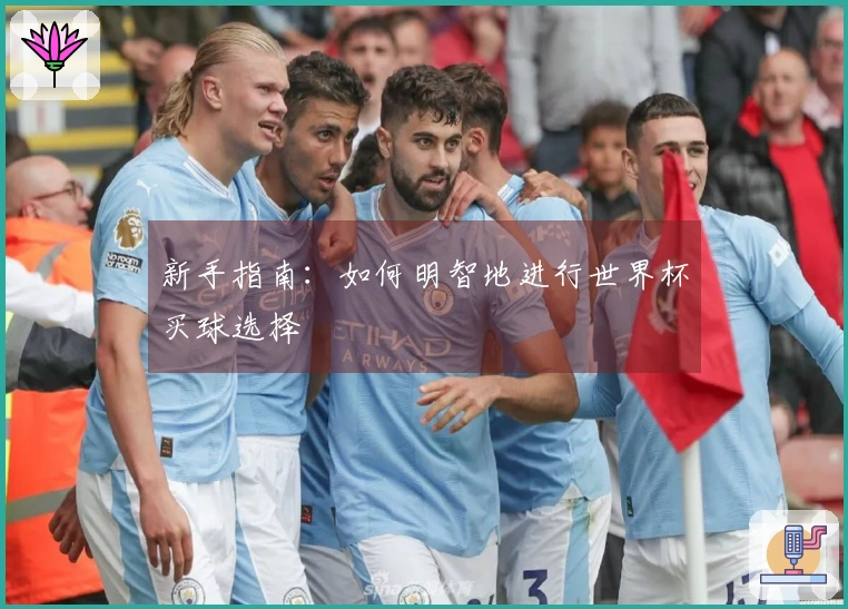 新手指南：如何明智地进行世界杯买球选择